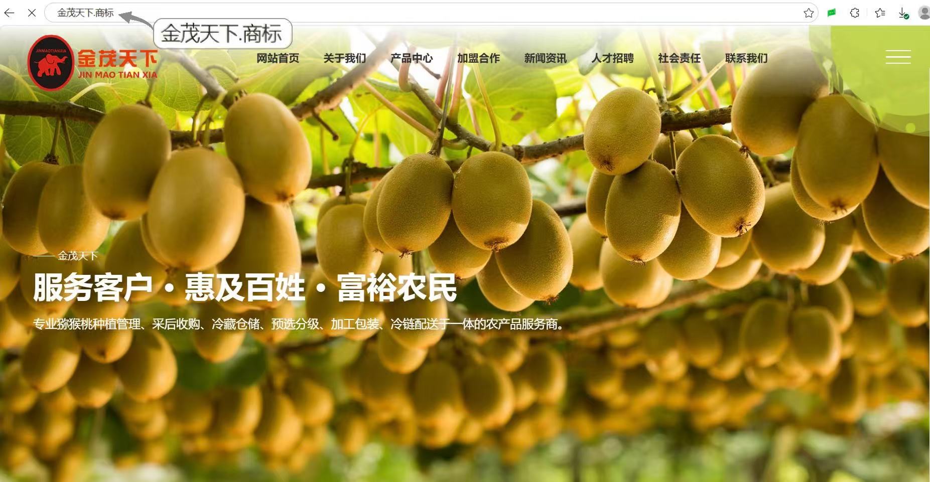 微信图片_20260506200237_1409_32.jpg